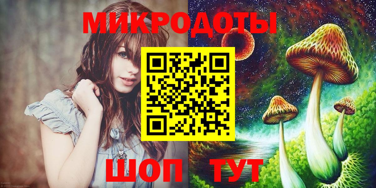 Псилоцибиновые грибы Psilocybine cubensis Отрадное