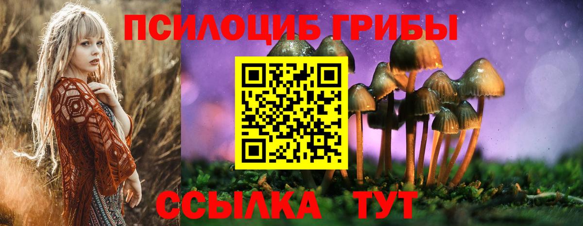 Галлюциногенные грибы GOLDEN TEACHER  Галлюциногенные грибы Magic Shrooms  Отрадное  Вход с VPN 